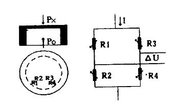 耐腐蝕液位午夜成人福利片